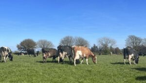 Barry Callebaut, Arla Foods launch three-year low-carbon dairy partnership
