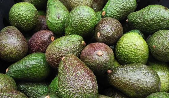 Thumbnail for EU weighs stricter pesticide limits on African agricultural imports