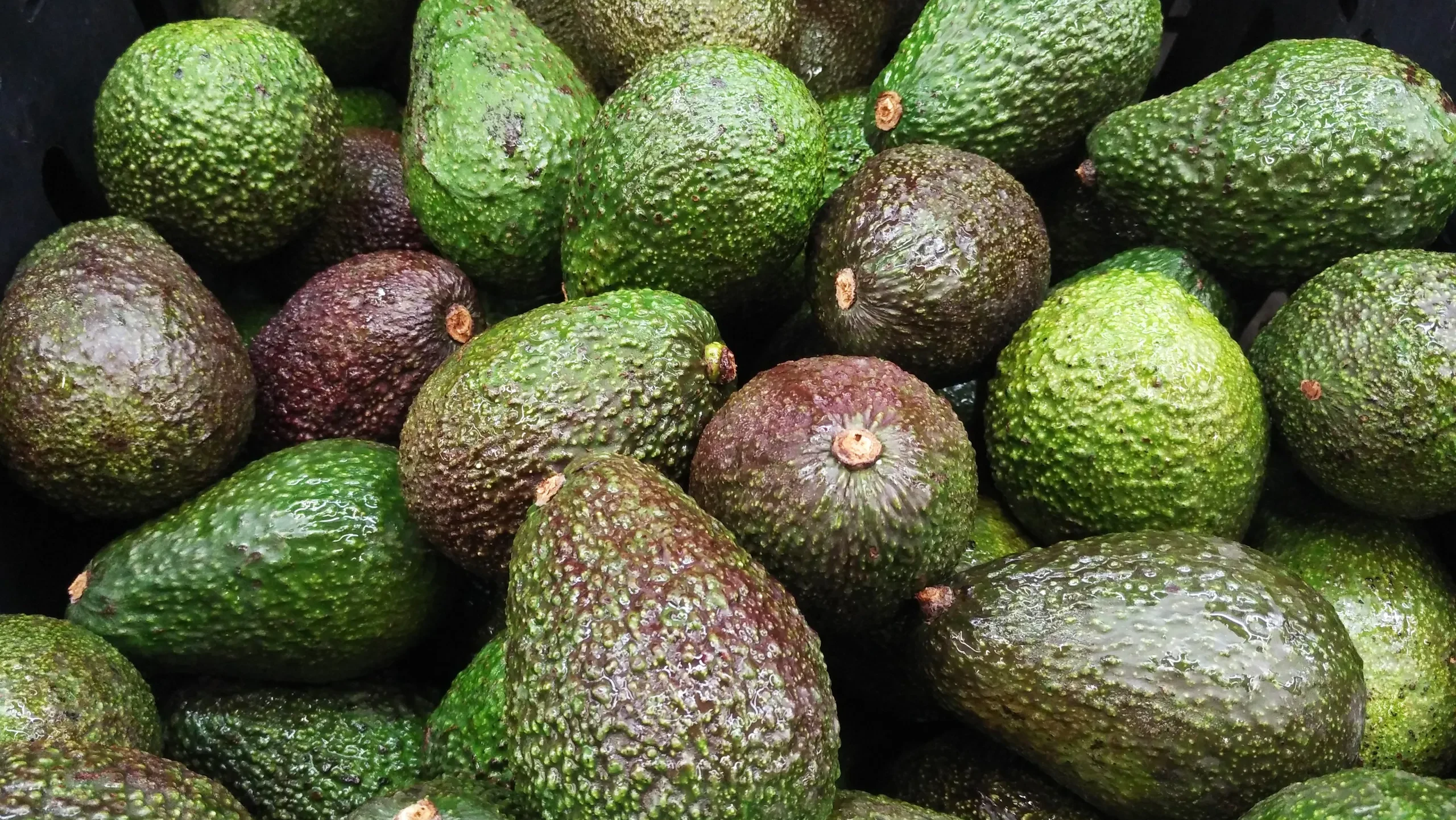 EU weighs stricter pesticide limits on African agricultural imports