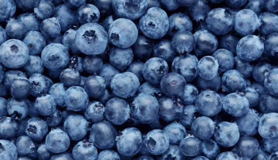 Thumbnail for Zimbabwe targets US$1B horticulture exports by 2030