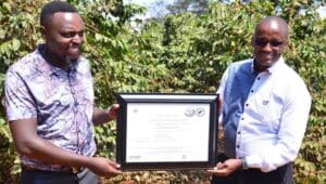 Kenya’s Kiganda coffee estate earns Rainforest Alliance regenerative certification