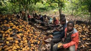 Ghana Employers, ILO validate framework to strengthen child labour referrals