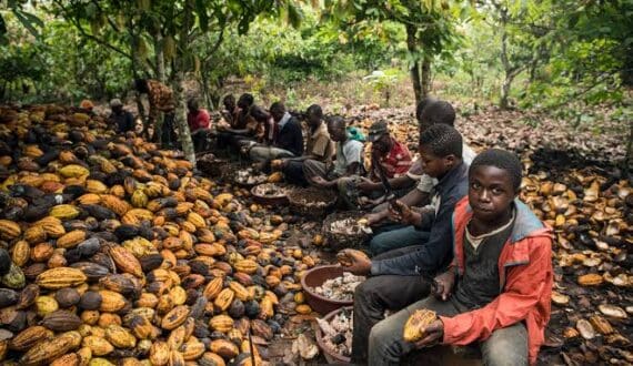 Thumbnail for Ghana Employers, ILO validate framework to strengthen child labour referrals