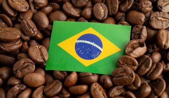 Thumbnail for Brazil coffee harvest set to hit record 67.6M bags in 2026 