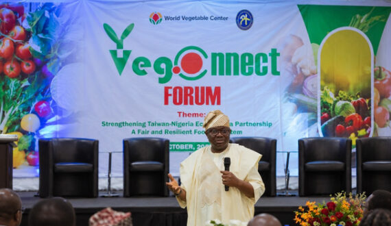 Thumbnail for Nigeria, Taiwan partner to modernize vegetable sector with protected cultivation