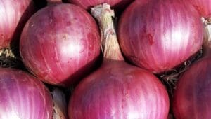 Nigeria resumes onion exports to Ghana after diplomatic intervention resolves trade dispute
