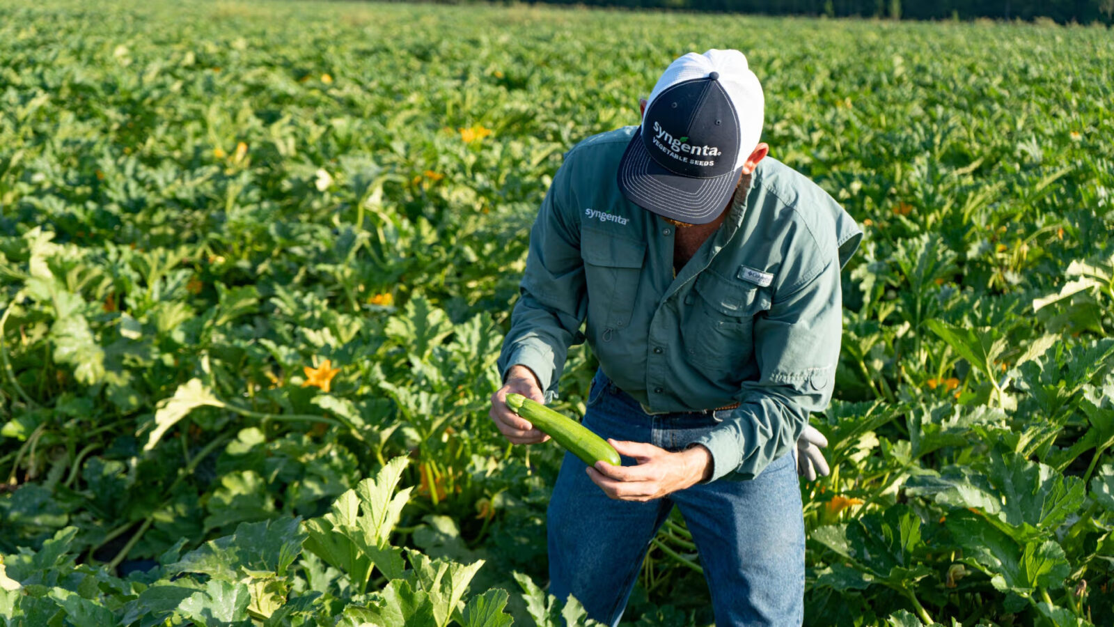 Syngenta unveils EXORT biological platform, first launch set for Latin America in 2027
