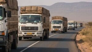 Cameroon approves US$407M loan for Douala-Bangui corridor upgrade