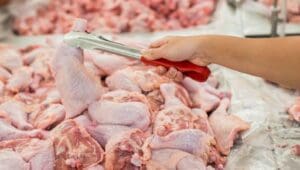 AMIE urges South Africa to let chicken import duties expire