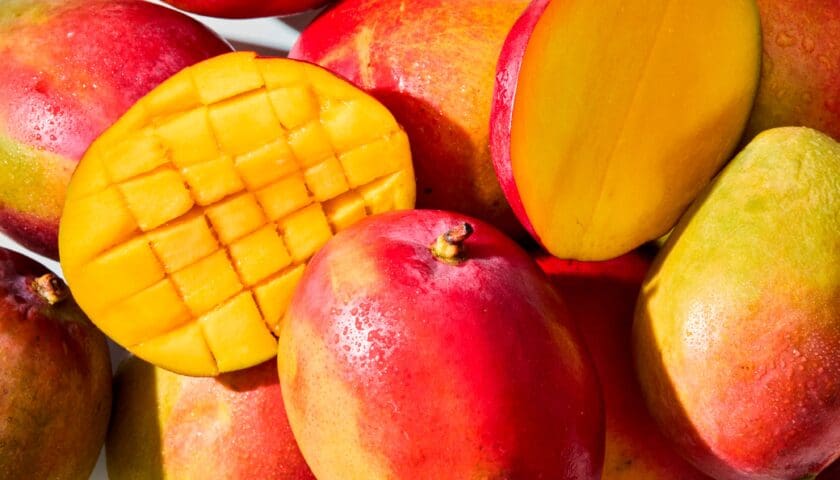 Thumbnail for Kenya’s Makueni County seeks US market access for organic mangoes