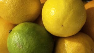 South Africa eyes trade growth in Middle East as farm exports reach US$1.3B