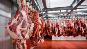Savanna Beef suspends cattle slaughter amid Foot-and-Mouth disease outbreak