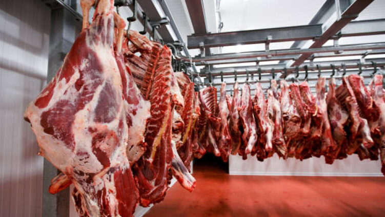 Thumbnail for Savanna Beef suspends cattle slaughter amid Foot-and-Mouth disease outbreak