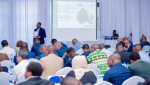 Tanzania beats 2030 avocado target four years early with 52,000 tons