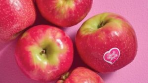 Tru-Cape reports 16% growth in Pink Lady apple shipments to UK