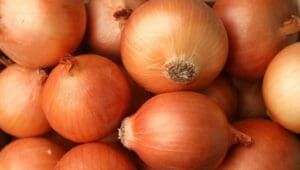 Egypt food exports hit 190,000 tonnes as Saudi Arabia, Sudan lead demand