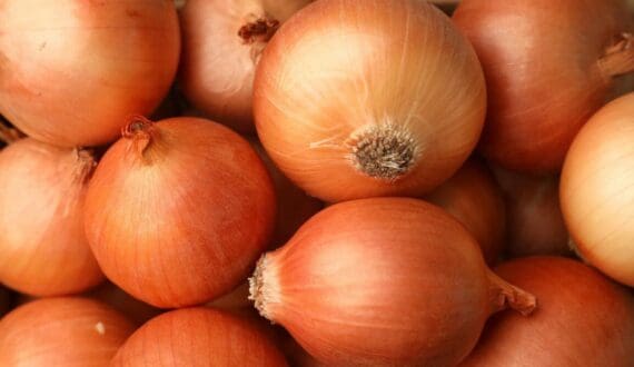 Thumbnail for Ghana, India sign five-year farm research pact to cut US$230M tomato imports