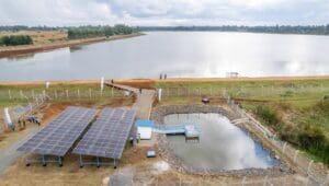 Kenya launches US$1.1M Ziwa 2 irrigation project for 1,000 farmers