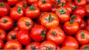 Ghana eyes US$5B in Chinese investment to revive Pwalugu tomato factory