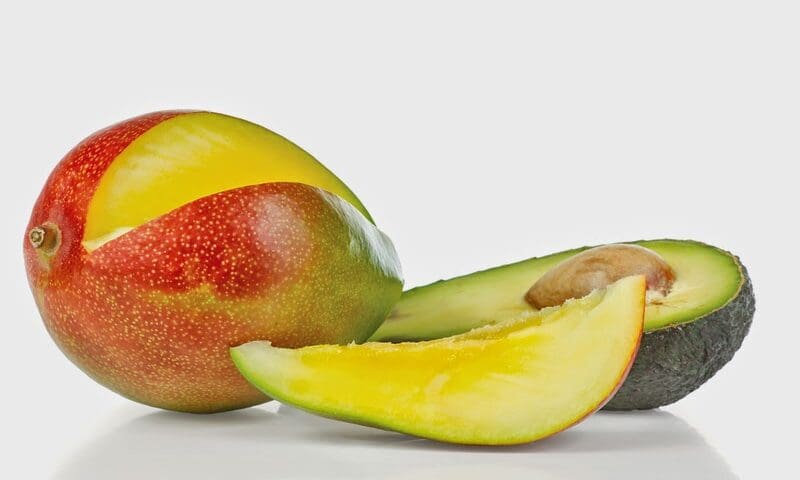 Thumbnail for World Bank identifies US$167M avocado, mango investment opportunity in Kenya