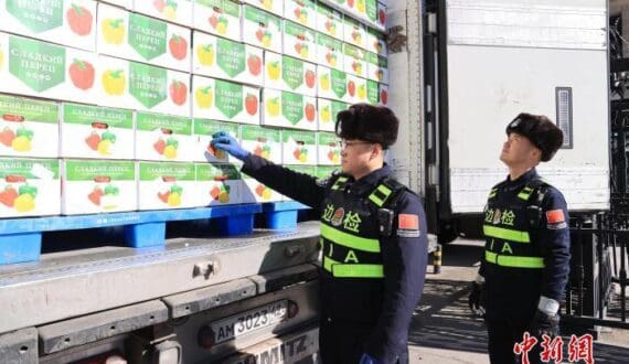 Thumbnail for South Africa, Philippines discuss apple, pear, mango market access