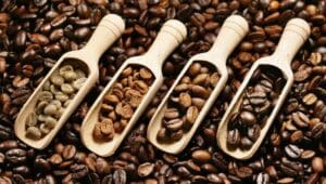 Kenya allocates US$770,950 for Nairobi Coffee Exchange specialty coffee laboratory