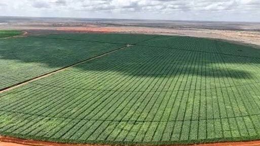 Thumbnail for Ruto plans US$231.3M dam to expand sugarcane production at Galana-Kulalu